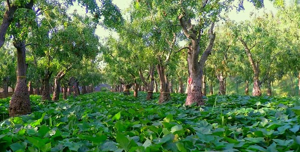 1569491804112967.jpg 圖片11.jpg