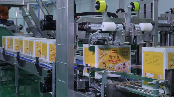 1569491877267402.jpg 圖片16.jpg