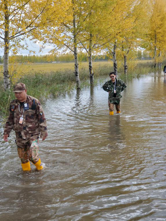 1618387981381806.png 圖片8.png