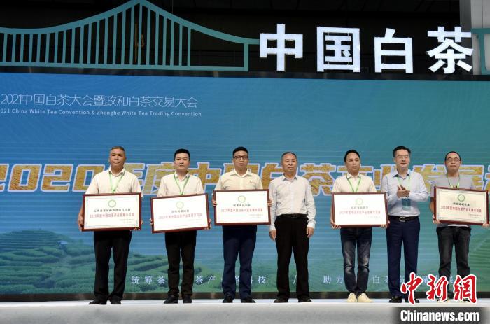 圖為大會上舉行2020年度中國白茶產(chǎn)業(yè)發(fā)展示范縣授牌儀式。 阮倩敏 攝 圖為大會上舉行2020年度中國白茶產(chǎn)業(yè)發(fā)展示范縣授牌儀式?!∪钯幻?攝