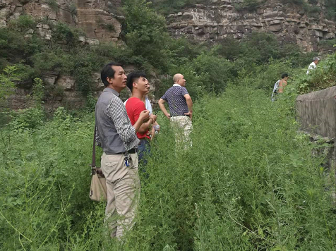 1648622451599170.png 圖片6.png