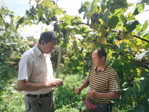 1648622533784794.png 圖片9.png