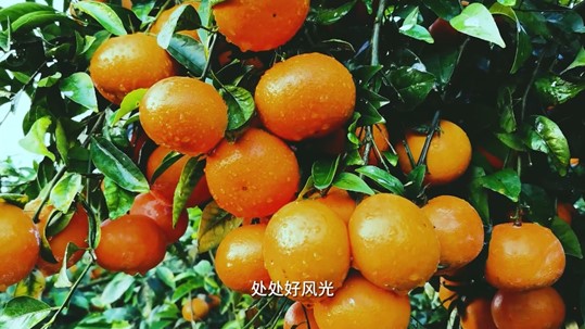 如圖片無(wú)法顯示，請(qǐng)刷新頁(yè)面