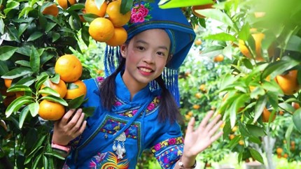 如圖片無(wú)法顯示，請(qǐng)刷新頁(yè)面