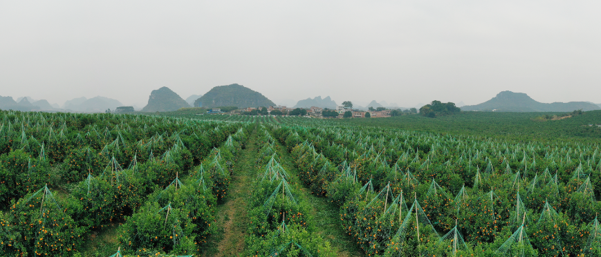 如圖片無(wú)法顯示，請(qǐng)刷新頁(yè)面